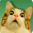 Memogen APK [Meme Maker]